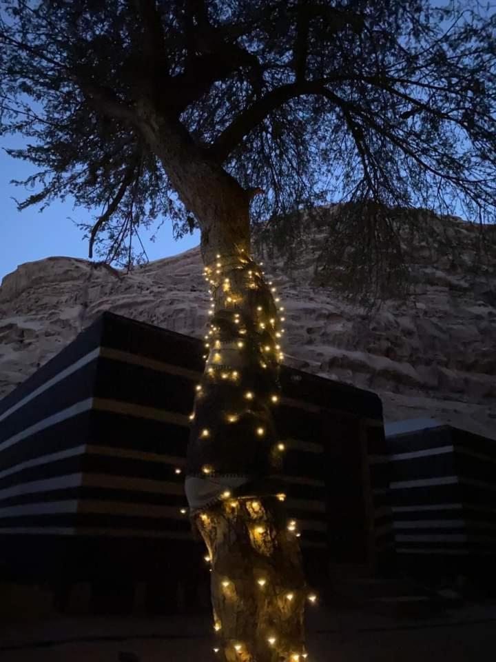 Shahrazad Desert, Wadi Rum Exterior photo